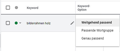 Google Ads Keyword Optionen